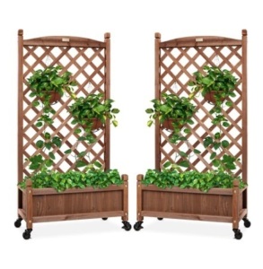 Set of 2 Wood Planter Box & Lattice Trellis, 48in