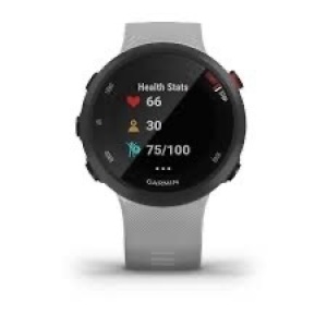 Garmin Forerunner 45