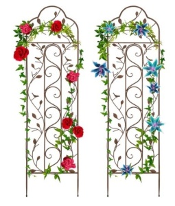 Set of 2 Iron Arched Garden Trellis