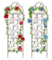 Set of 2 Iron Arched Garden Trellis