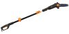 WEN 4019 6-Amp 8-Inch Electric Telescoping Pole Saw 