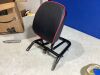 Sissy Bar Upright Passenger Backrest with Cushion Pad