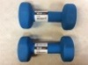 10 LB Hand Weights, Set of 2&nbsp;- Appear New&nbsp;