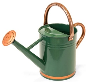 1-Gallon Galvanized Steel Watering Can w/ O-Ring, Top Handle