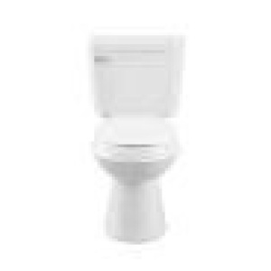 FLUIDMASTER # 2743133 :  Pro flush Chair , Height  Water  Saver  Toilet  