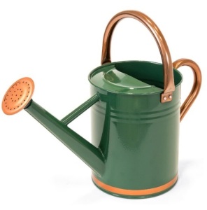 1-Gallon Galvanized Steel Watering Can w/ O-Ring, Top Handle