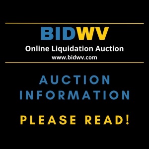 BidEVV Liquidation Auction