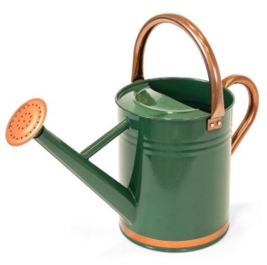 1-Gallon Galvanized Steel Watering Can w/ O-Ring, Top Handle