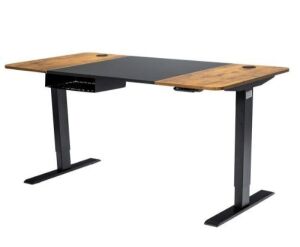 55 in. Rectangular Black Wood Electric Standing Desk Height Adjustable Sit Stand Desk with USB Port 