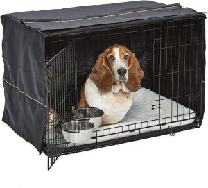 MidWest iCrate Starter Kit, Includes 36" Dog Crate, Dog Crate Cover, 2 Snap On Bowls & Fleece Bed 