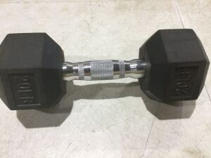 20 Lb Dumbbell