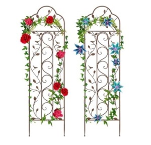 Set of 2 Iron Arched Garden Trellis