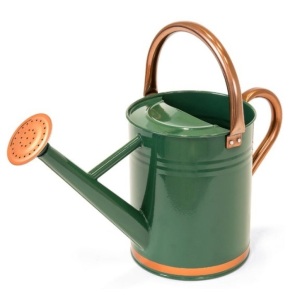 1-Gallon Galvanized Steel Watering Can w/ O-Ring, Top Handle