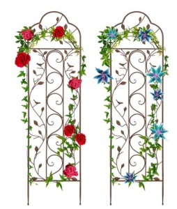 Set of 2 Iron Arched Garden Trellis