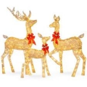 3-Piece Lighted Christmas Deer Set Outdoor Decor with LED Lights (WARNING: Contains Glitter)