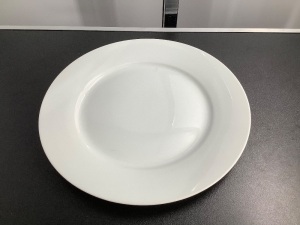 Set of 12 Plates, Appears New