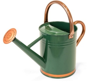 1-Gallon Galvanized Steel Watering Can w/ O-Ring, Top Handle