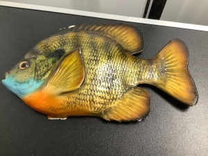 Fish Wall Decor, Chipped, Ecommerce Return