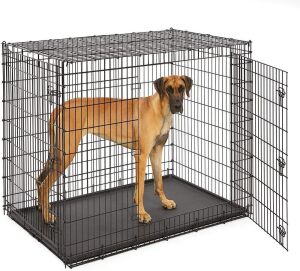 MidWest Homes for Pets XXL Giant Dog Crate 54-Inch Long