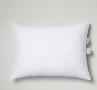 Standard/Queen Machine Washable Medium Down AlternativePillow - Casaluna, New, Retail - $25