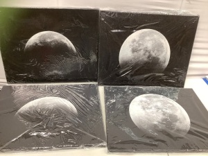 4pc Moon Wall Art Set, Appears new