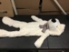Teddy Bear, Needs Stuffing - Appears New