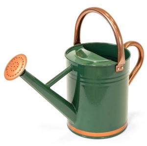 1-Gallon Galvanized Steel Watering Can w/ O-Ring, Top Handle