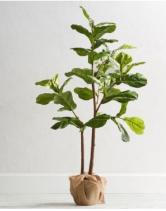 Pottery Barn, Faux Potted Fiddle Leaf Fig Tree, Medium - 5.4ft, Like New, Retail - $249