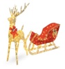 Lighted Christmas Reindeer & Sleigh Outdoor Decor Set w/ LED Lights