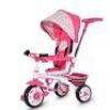 4-In-1 Detachable Baby Stroller Tricycle with Round Canopy