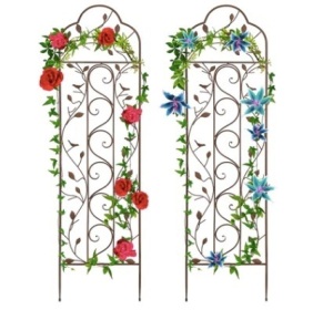 Set of 2 Iron Arched Garden Trellis