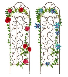 Set of 2 Iron Arched Garden Trellis