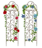Set of 2 Iron Arched Garden Trellis