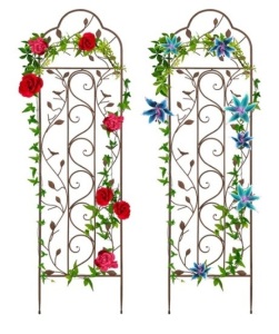 Set of 2 Iron Arched Garden Trellis