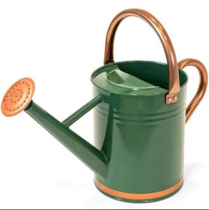 1-Gallon Galvanized Steel Watering Can w/ O-Ring, Top Handle 