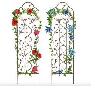 Set of 2 Iron Arched Garden Trellis