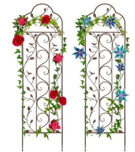 Set of 2 Iron Arched Garden Trellis