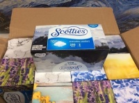 Scotties Reach-In Box Facial Tissues, 12 Boxes - New