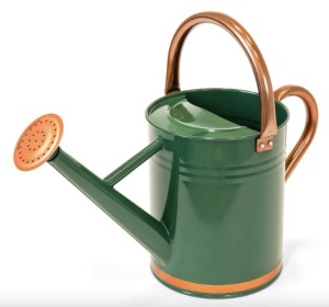 1-Gallon Galvanized Steel Watering Can w/ O-Ring, Top Handle