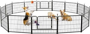 24" Dog Fence