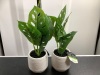 Lot of (2) Faux Plant, Appears New