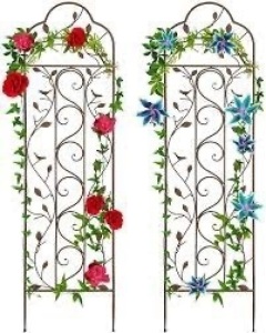 Set of 2 Iron Arched Garden Trellis