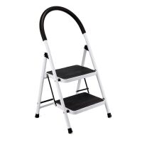 2-Step Folding Ladder