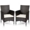 Set of (2) Patio Dining Chairs