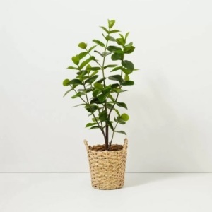 Hearth & Hand With Magnolia Artificial Plant Autograph Leaf 40in Tall