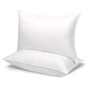 Set of (2) Hotel Quality Pillows - Queen Size, 20"x30"