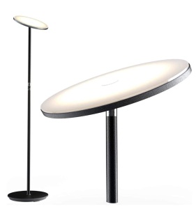 Dimmable LED Floor Lamp, No Remote