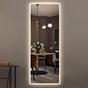 NeuType LED Mirror Full Length Dressing Mirror with Smart Touch Button, Anti-Fog, Stepless Dimmable Lighting, Waterproof 65"x22" - Appears New 