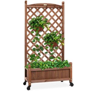 60" Wood Planter Box & Lattice Trellis w/ Drainage, Optional Wheels