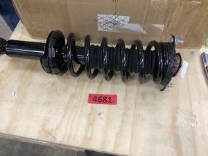 Complete Strut Assembly